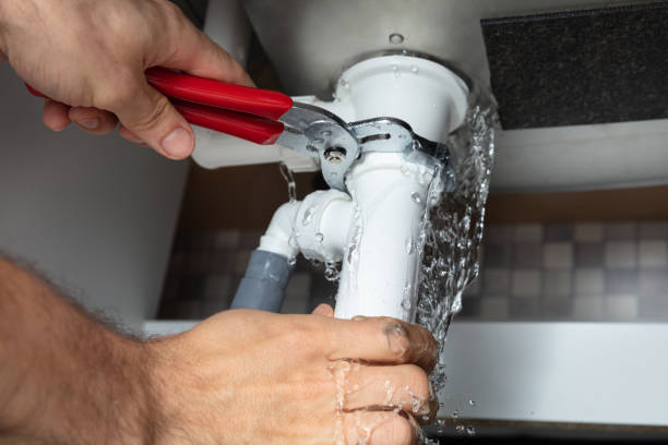 Best Water damage restoration process  in Borrego Springs, CA