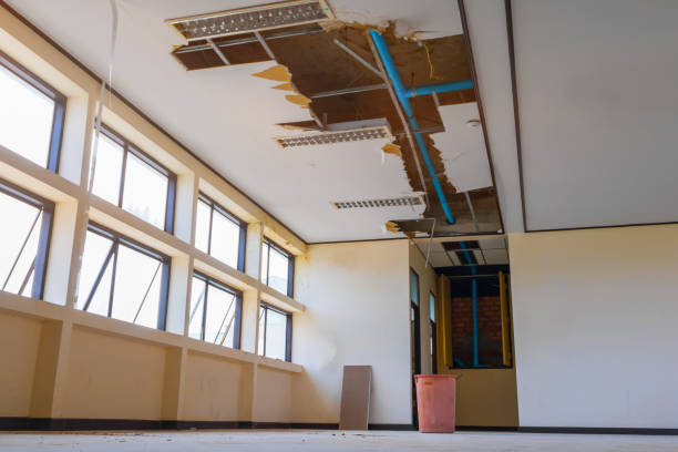 Best Emergency water damage restoration  in Borrego Springs, CA
