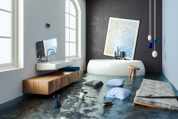 Best Water damage contractors near me  in Borrego Springs, CA