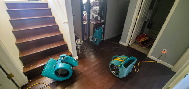 Best Water damage restoration experts  in Borrego Springs, CA