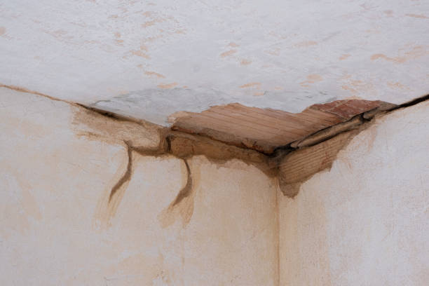 Best 24/7 water damage repair  in Borrego Springs, CA