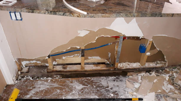 Best Ceiling water damage repair  in Borrego Springs, CA