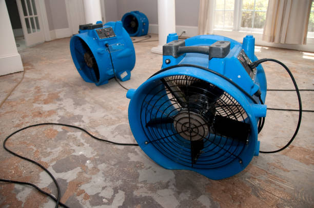 Best Basement water damage restoration  in Borrego Springs, CA