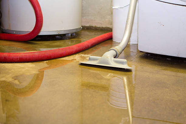 Best Water damage restoration near me  in Borrego Springs, CA