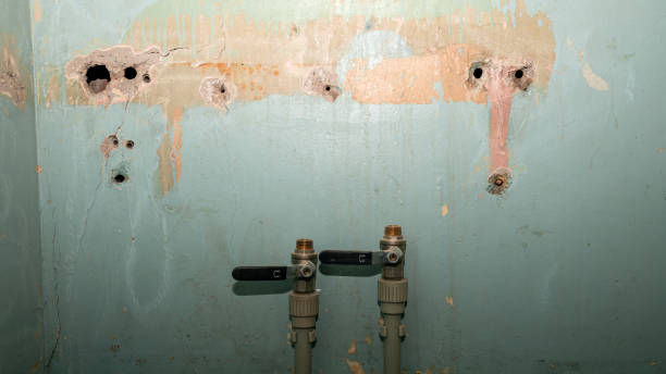 Best Local water damage restoration  in Borrego Springs, CA