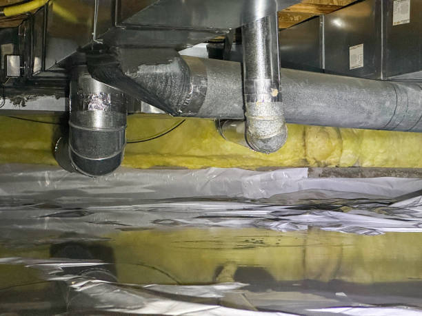 Best Flood restoration services  in Borrego Springs, CA