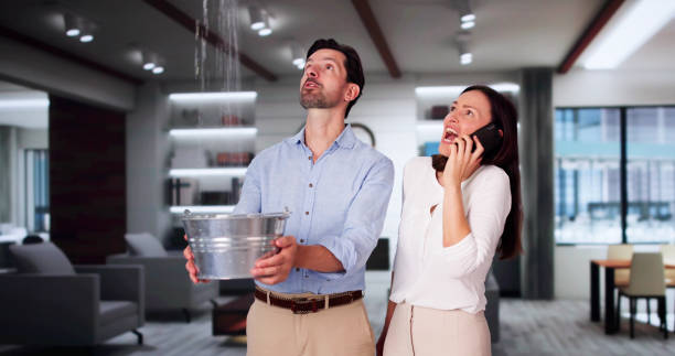 Best 24-hour water damage restoration  in Borrego Springs, CA